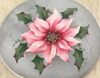 COTTON CANDY POINSETTIA